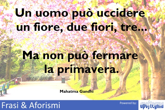 Un uomo può uccidere un fiore, due fiori, tre... Ma non...